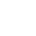checked-icon